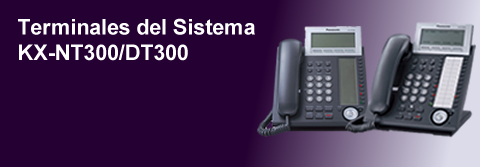 12. Term del Sist. NT300-DT300